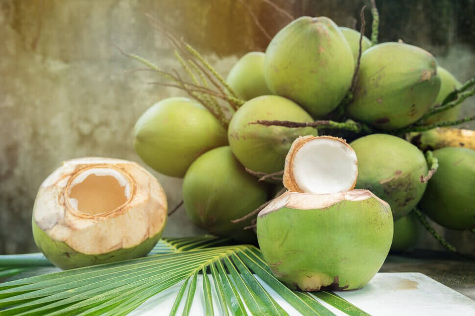 buah kelapa