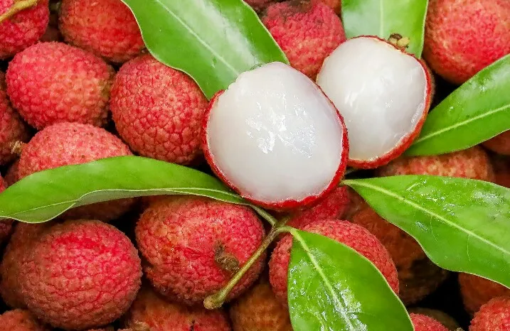 buah leci